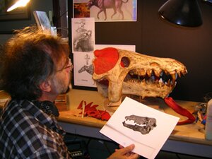 Sculpting the head of Archaeotherium, a pig-like beast from the early Age of Mammals.
